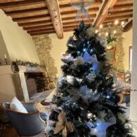 parulia winter